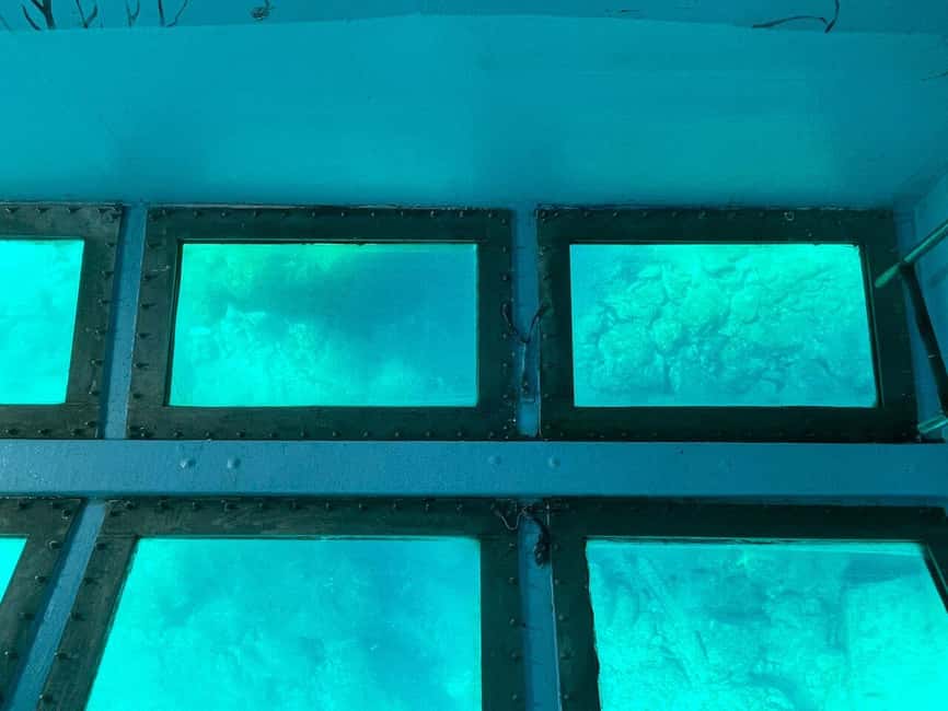 FROM PAPHOS: 1.5 HRS Glass Bottom Boat Cruise with swimming - Glass-bottom boat in Paphos: what you really see from the deck