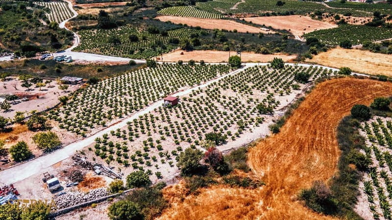 From Paphos: Afternoon Tour to Agios Neophytos Monastery - FAQ