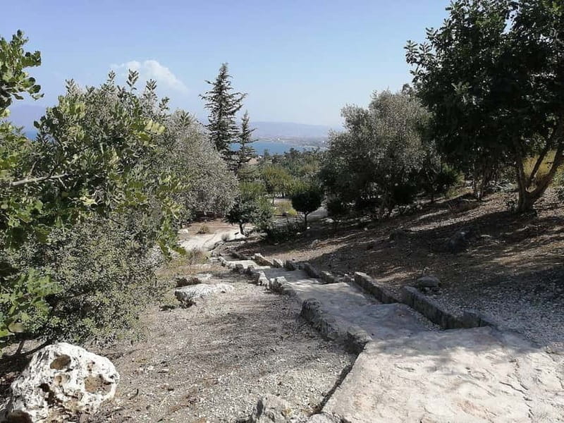 From Paphos: Baths of Aphrodite, Latchi & Blue Lagoon Cruise - Who should book this Paphos day trip?