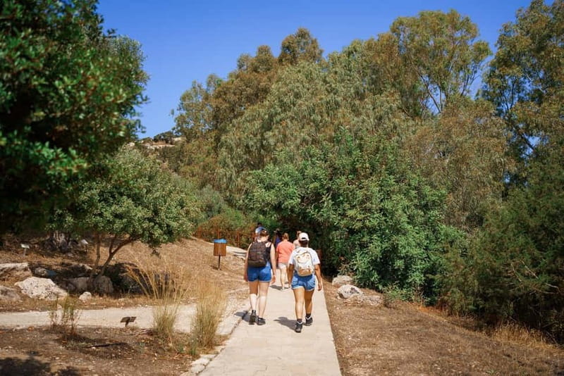 From Paphos: Blue Lagoon and Baths of Aphrodite Day Trip - Timing and pacing: how the day actually feels