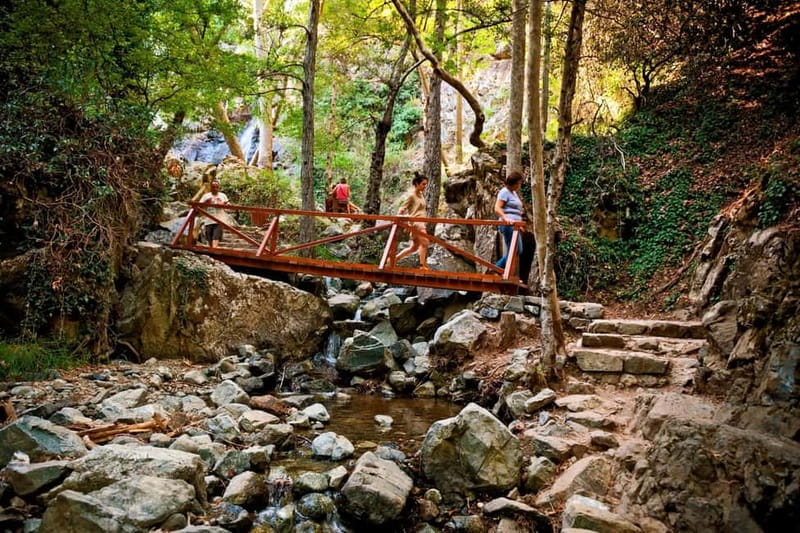 From Paphos: Caledonia Waterfalls Walking Tour with Lunch - Key things you will notice on this tour