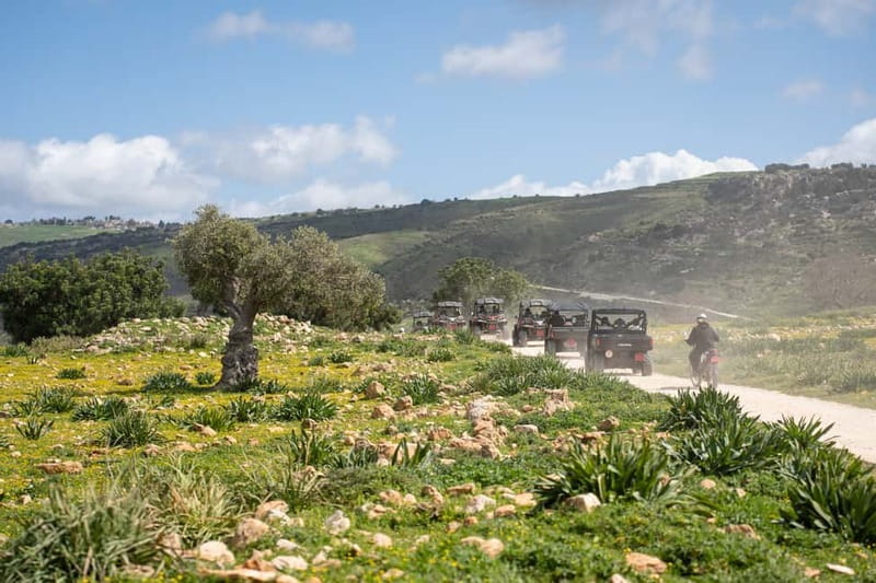 From Paphos: Coral Bay and Adonis Baths Guided Tour - Akamas Reserve turtles and Lara Turtle Conservation Station time