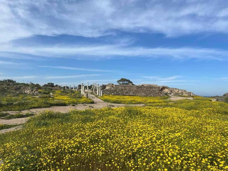 From Paphos: Famagusta, Salamis, and Varosha Walking Tour - Key highlights worth your attention