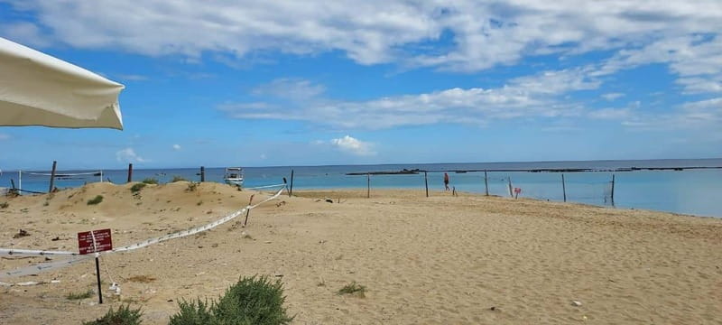 From Paphos: Famagusta, Salamis, and Varosha Walking Tour - The long coach ride, and why it matters for the checkpoints