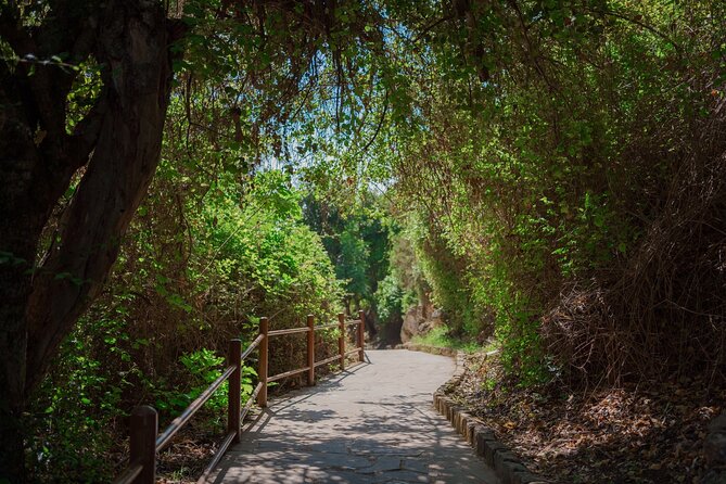 From Paphos Highlight Tour with Baths of Aphrodite & Blue Lagoon - Pickup rules, the 8:00 start, and how to avoid last-minute hassle