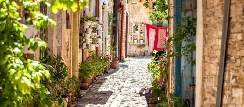 FROM PAPHOS: Island Roundtrip (Lefkara, Nicosia, Larnaca) - Salt Lake and Hala Sultan Tekke: Flamingo Photo Chances at a Photo Stop