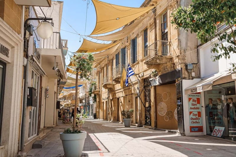 From Paphos: Larnaca Highlights Tour with Lefkara & Nicosia - Larnaca Salt Lake and Hala Sultan Tekke: A View Stop Worth the Photo