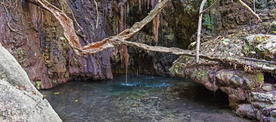 From Paphos or Limassol: Akamas National Park Jeep Safari - Latsi lunch break: plan for food on your own
