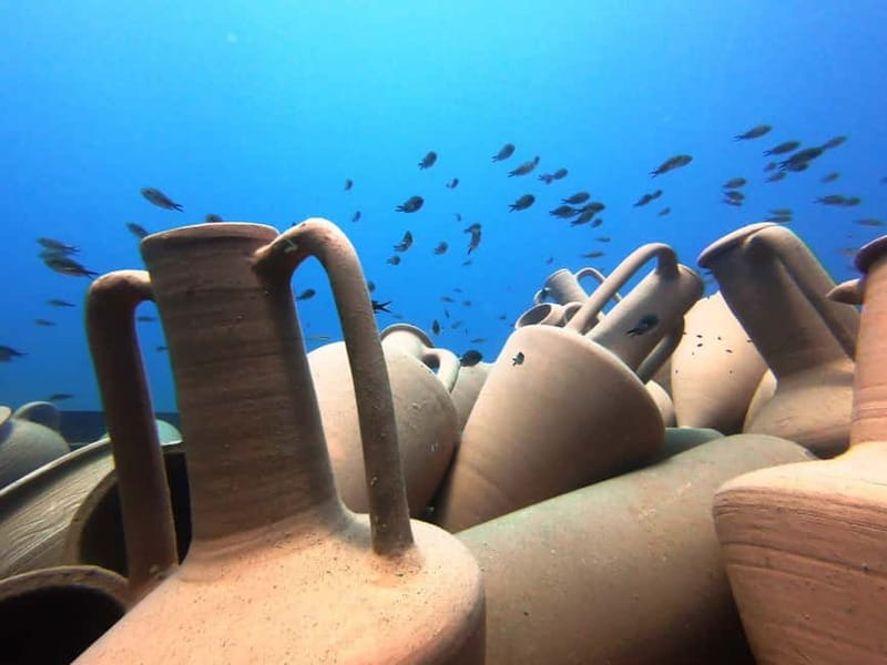 FROM PAPHOS: Snorkeling at the Marine Park (shore) - Key highlights to know before you go