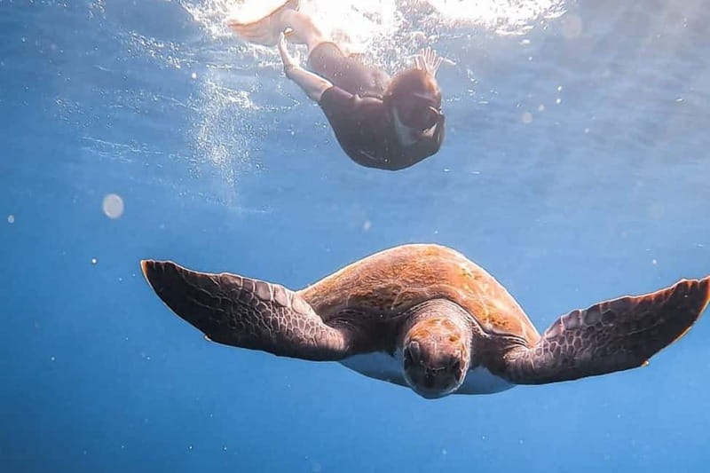 FROM PAPHOS: Snorkeling at the Marine Park (shore) - The 2-hour flow: briefing, shoreline snorkeling, back on land