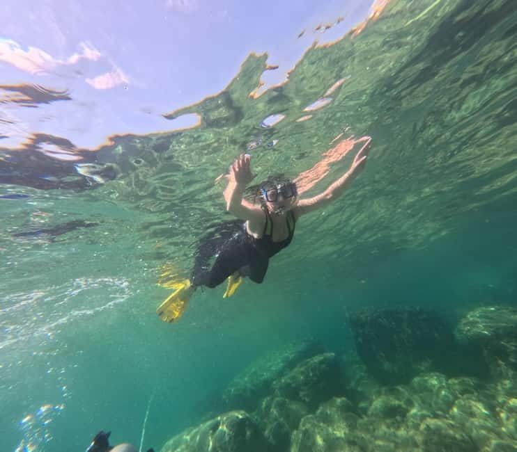 FROM PAPHOS: Snorkeling at the Marine Park (shore) - What you’ll spot under the surface: fish, amphorae, shells, and turtles