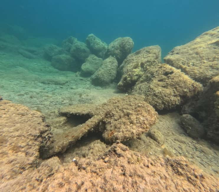 FROM PAPHOS: Snorkeling at the Marine Park (shore) - Price and value: what you pay for in Paphos
