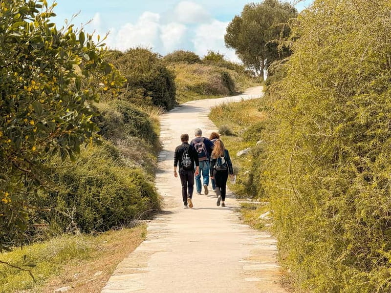 From Paphos: Trip to Limassol with Kourion & Kolossi Castle - Petra tou Romiou photo stop: Aphrodite’s Rock in 10 minutes