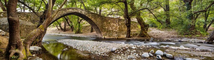 From Paphos: Troodos Jeep Safari - Key Points That Make This Tour Worth Your Time