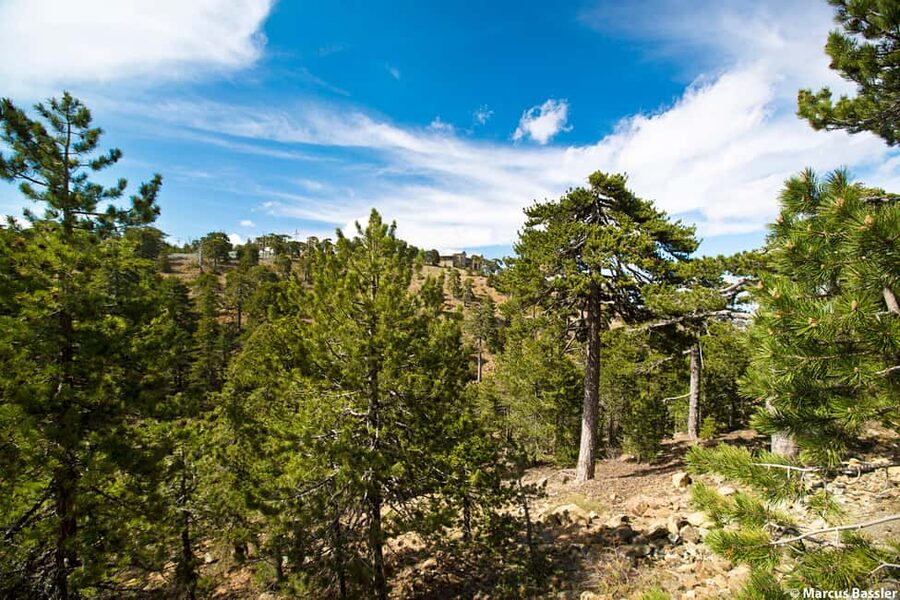 From Paphos: Troodos Jeep Safari - Chantara Waterfall Mini-Trek: A 20m Drop Worth Wearing Real Shoes