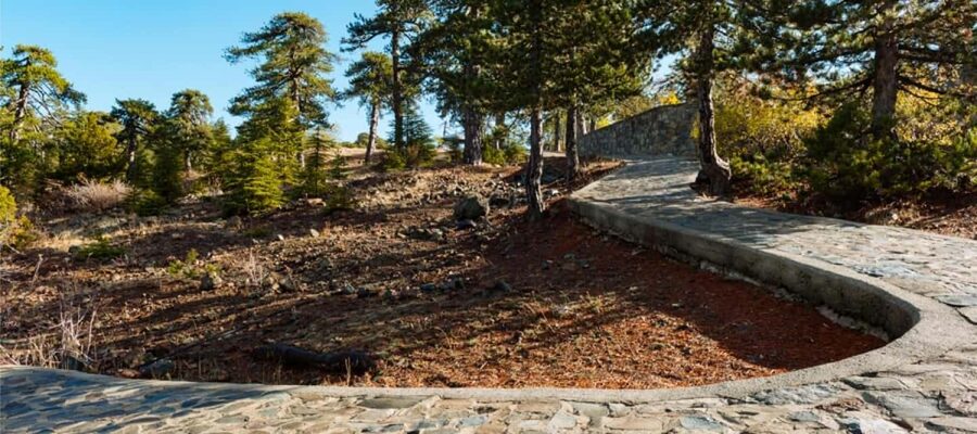 From Paphos: Troodos Jeep Safari - Pano Platres Lunch and Free Time: Regain Your Pace in a Mountain Town