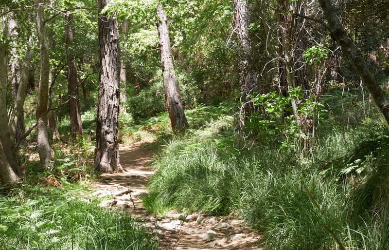 From Protaras: Full-Day Grand tour Jeep Safari with Lunch - Pickup and the Land Rover style of off-road driving