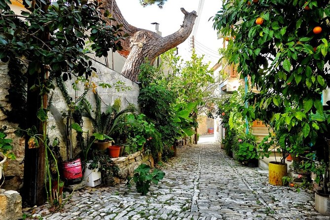 Gourmet Cyprus Tour - Local Flavors & Wine from Paphos - Troodos Mountains break, plus lunch in a local taverna