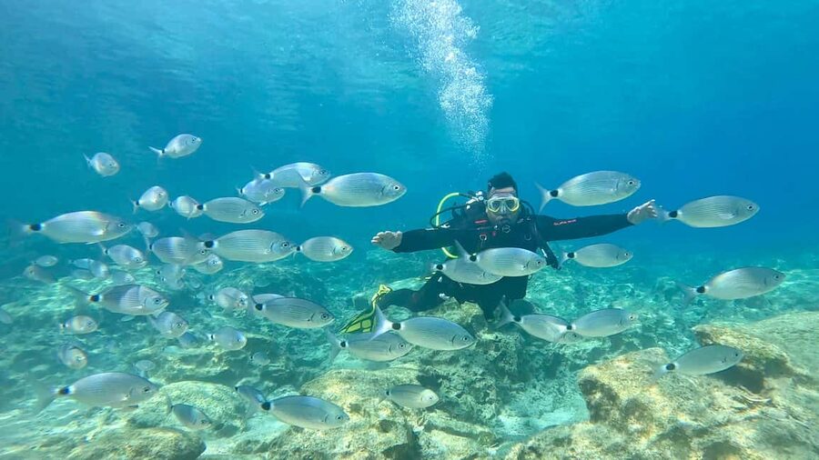 Green Bay Cyprus - Scuba diving - Guided Dive or Try Dive - Your 150-minute plan, from hotel lobby to underwater time