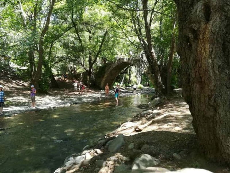 Guided Safari Tour Troodos Mountains and Kykkos Monastery - Who should book this, and who should skip it