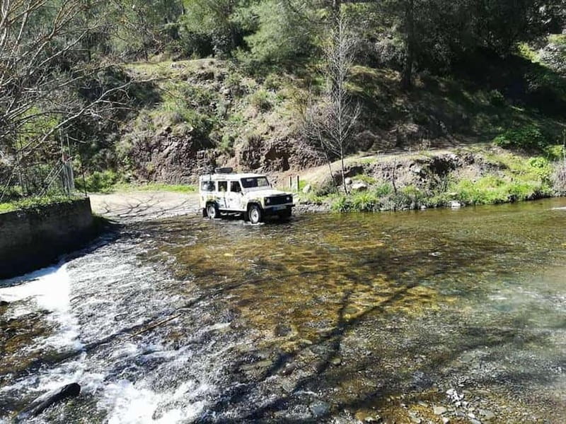 Guided Safari Tour Troodos Mountains and Kykkos Monastery - Troodos Forest in a 4x4 Jeep: pine air, a Venetian bridge, and real mountain feel