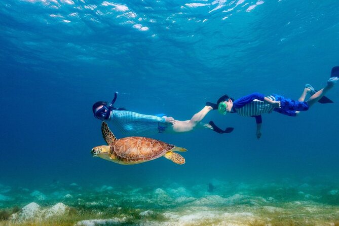 Guided snorkeling trip to the turtles in Protaras - If you’re traveling with kids or weaker swimmers, plan around comfort