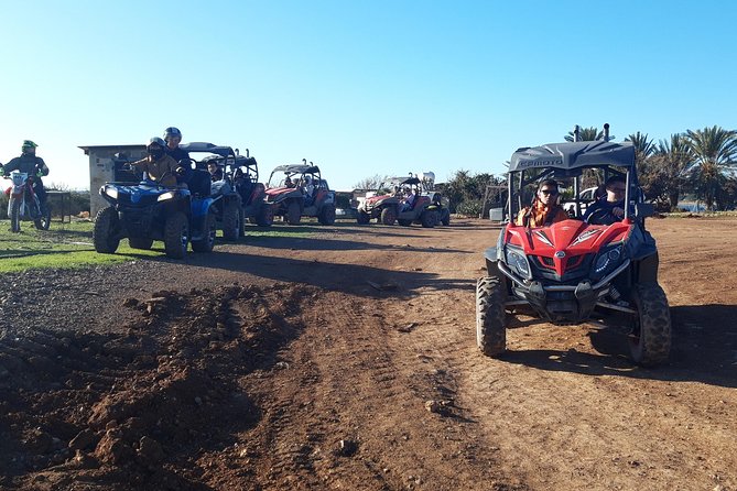 Half-Day Buggy Safari to Akamas Peninsula with Lunch - Price and value: what $283.12 gets you