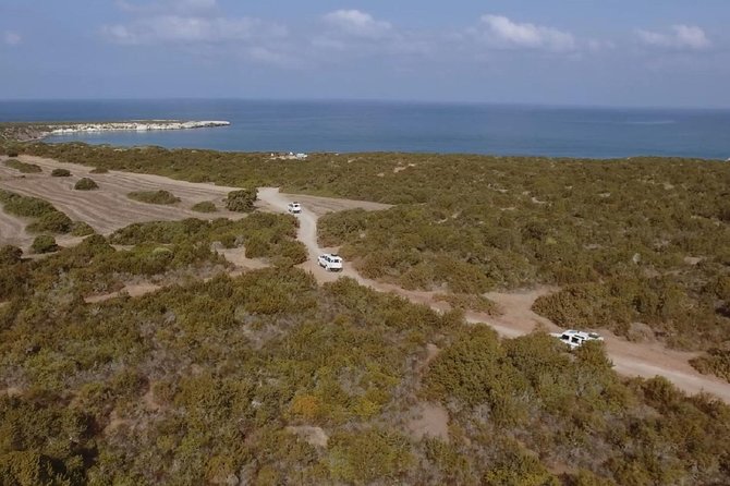 Half day Safari Tour to Akamas Peninsula from Paphos - The Coffee Break That Keeps the Day Comfortable