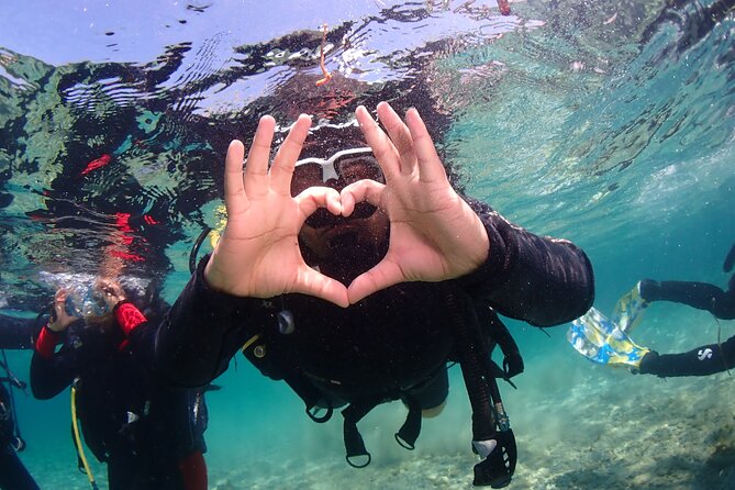 Half-Day Scuba Diving Tour - Discover Scuba Diving! - Roman Wall Shore Session: what you’ll see underwater in Paphos