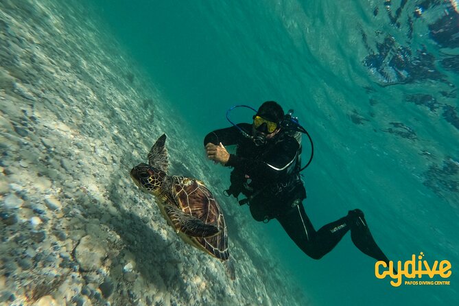 Half-Day Scuba Diving Tour - Discover Scuba Diving! - PADI pathway and the eLearning step you must finish