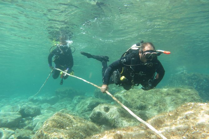 Half-Day Scuba Diving Tour - Discover Scuba Diving! - Price and value: what $100.37 covers, and what costs extra