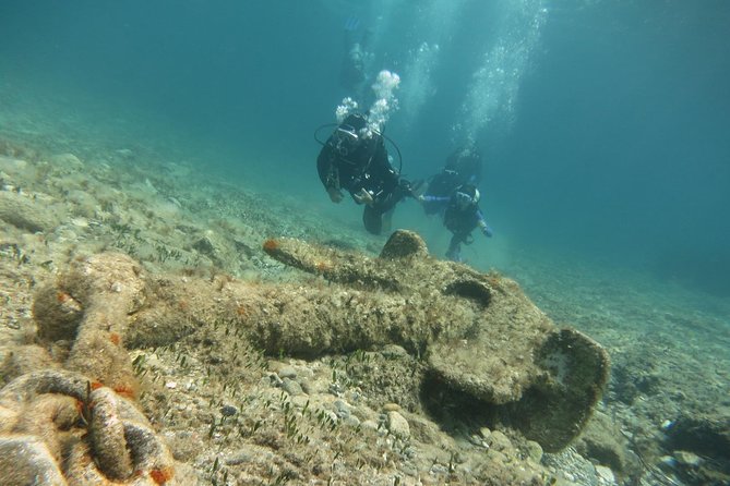Half-Day Scuba Diving Tour - Discover Scuba Diving! - How to fit it into your Cyprus trip (timing, weather, and expectations)
