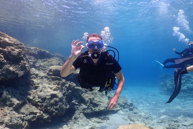 Introductory diving in small groups - Key highlights