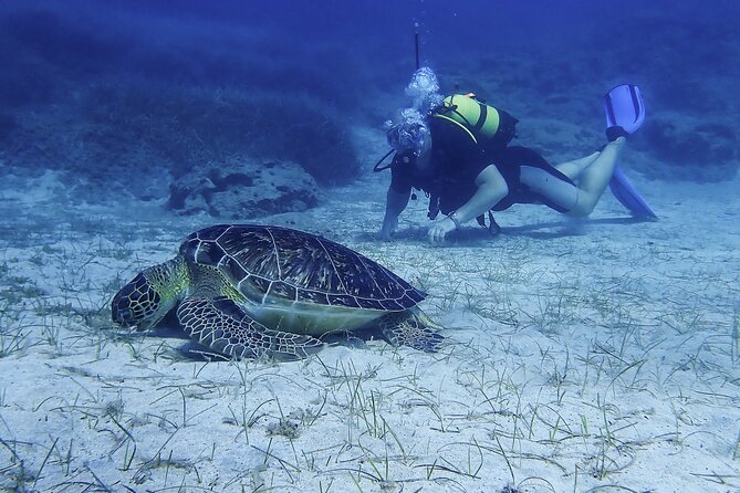 Introductory diving in small groups - Instructor guidance for beginners, from clear teaching to calm control
