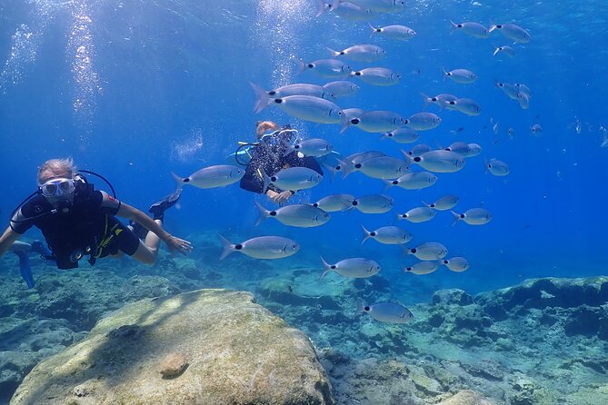 Introductory diving in small groups - Small group (max 4) means less waiting and more hands-on coaching