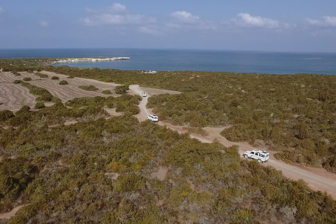 Jeep Safari Akamas from Paphos - Key Highlights at a Glance