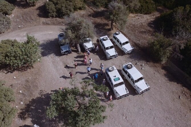 Jeep Safari Akamas from Paphos - Lara Beach and the Turtle Conservation Project: Meaningful, But Not a Guarantee