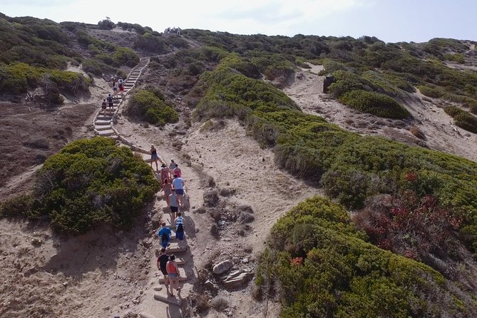 Jeep Safari Akamas from Paphos - Akamas Peninsula Viewpoint and the Baths of Aphrodite, What You Might Get