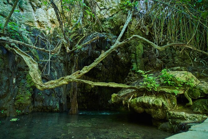 Jeep Safari Akamas from Paphos - What to Pack for a Comfortable Gorge and Beach Day