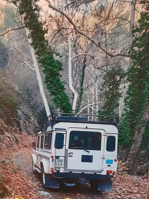 Jeep safari in French, English to Akamas, Gorge, Donkey Farm - Akamas by jeep, with stops that actually let you see Cyprus