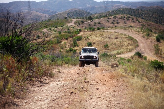 Jeep Safari to Akamas National Park: Avakas Gorge Tour from Paphos - Akamas Peninsula and the swim stop: April to November