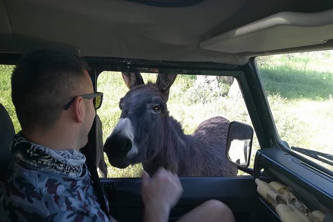 Jeep Safari to Akamas National Park: Avakas Gorge Tour from Paphos - Latchi lunch time: the built-in pause you’ll actually appreciate