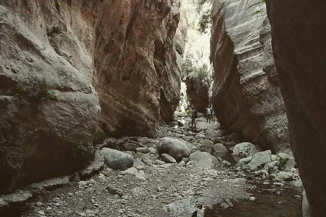 Jeep Safari to Akamas National Park: Avakas Gorge Tour from Paphos - Baths of Aphrodite and Edro III shipwreck: legend plus gritty reality