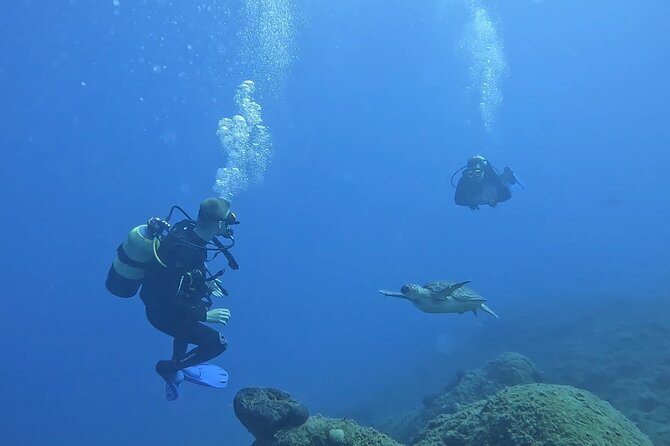 Jubilee Shoals guided boat dives - Timing and meeting point near Pizza Venetto (07:00 meet, 08:00 depart)
