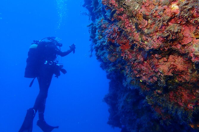 Jubilee Shoals guided boat dives - Small boat size and hands-on guidance, max 10 people