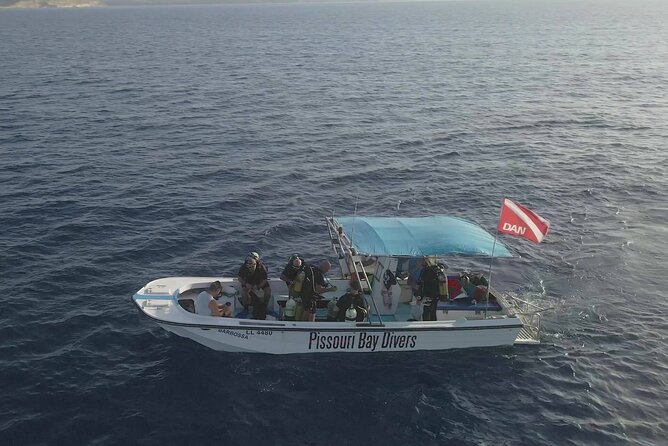 Jubilee Shoals guided boat dives - Price and value at about $192.66 per person