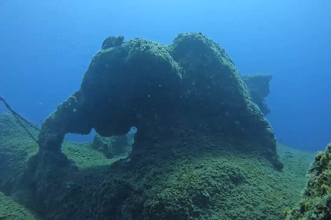 Jubilee Shoals guided boat dives - Who this trip suits best, and who should think twice