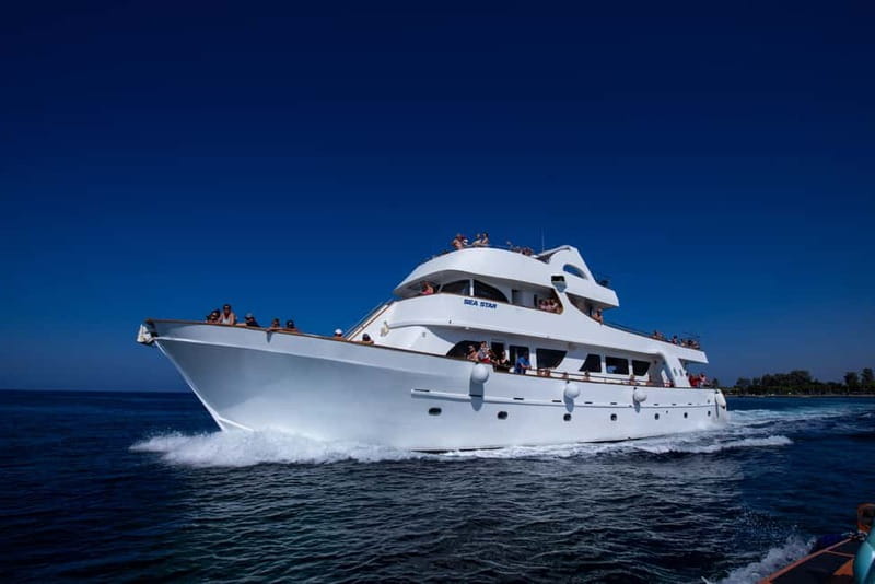 Lagoon to Paphos: Blue Lagoon All Inclusive Round Trip - Why this Latchi to Paphos cruise feels like a real day at sea