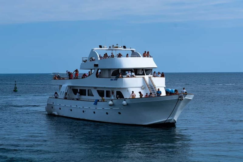 Lagoon to Paphos: Blue Lagoon All Inclusive Round Trip - Price and value: what $93 buys you here