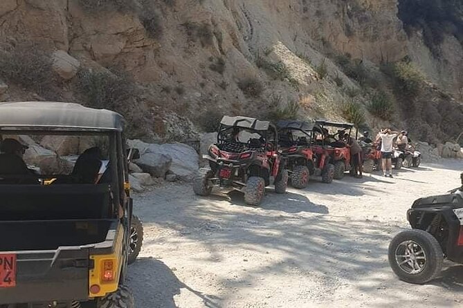 Lara Bay & Adonis Falls Quad & Buggy Tour - Quad Bike or Manual Mini Jeep: What You’ll Actually Drive